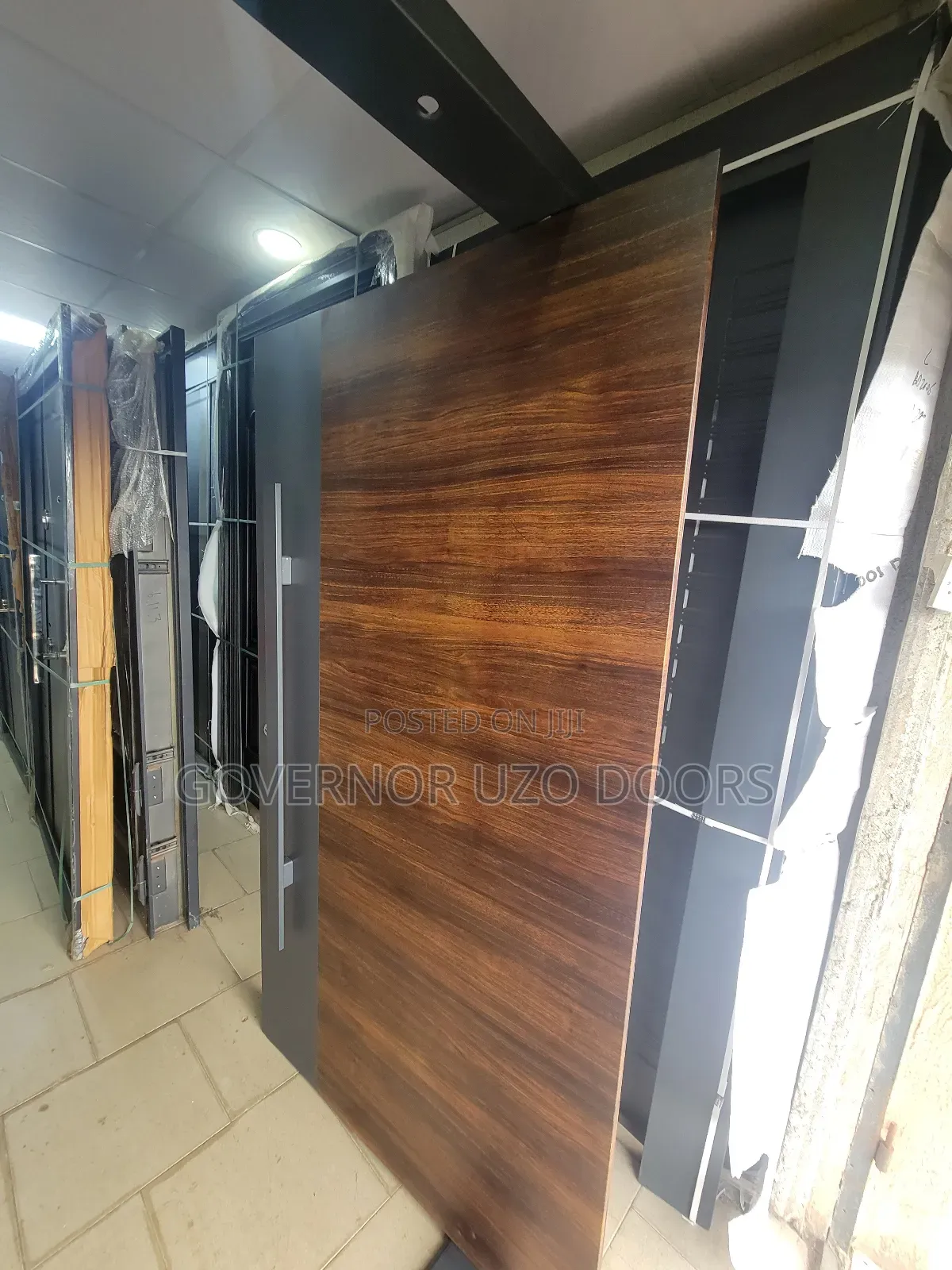 Pivot Security Door