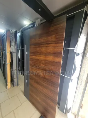 Pivot Security Door