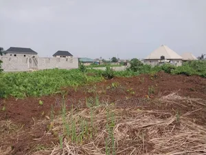 Quater Plot Ishitu Rd (17ft /76ft) Fenced