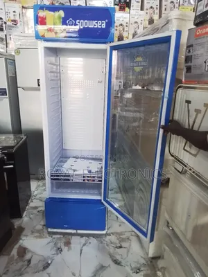 Top Quality New Snowsea 450l Single Door Chiller
