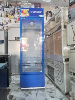 Best Quality New Snowsea 450l Single Door Chiller