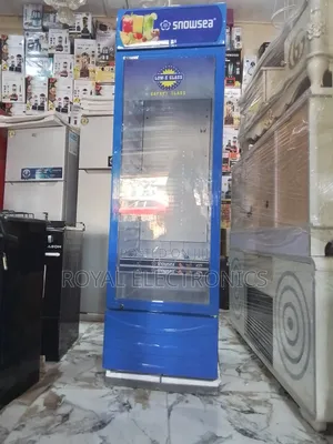 Great Quality New Snowsea 450l Single Door Chiller