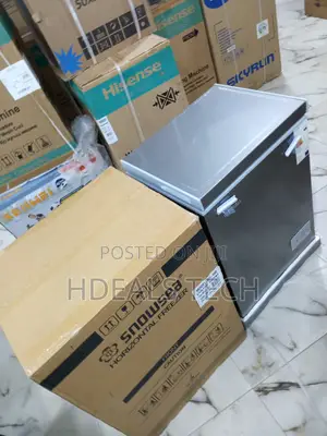 Snowsea 70l Freezer Bd-108 for Ice Cream and Frozen Goods