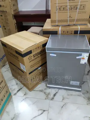 Bd-108 Snowsea 70l - Affordable and Durable Freezer