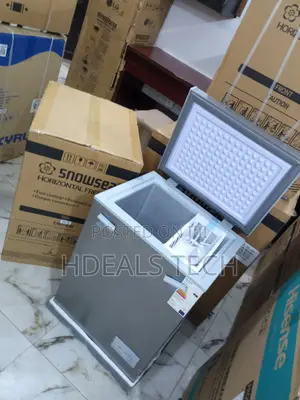 Snowsea Bd-108 70l Freezer - Efficient Cold Storage Option