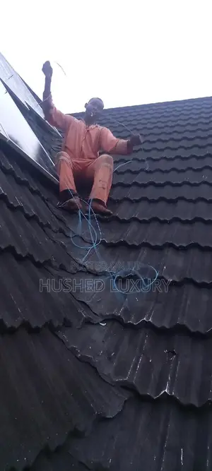 Professional Solar And Inverter Installer