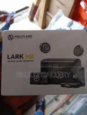 Holyland Lark M2