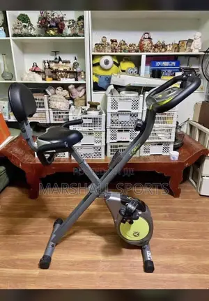 X Bike (Ash)