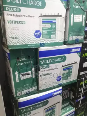Luminousvolt Charge New Model 220h