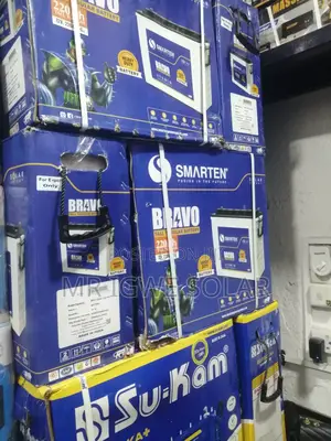 Smarten Tall Tubular Battery