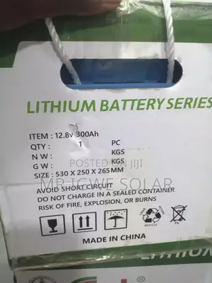 MSN Lithium Iron Battery