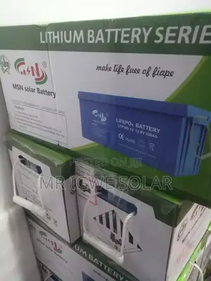 MSN Lithium Iron Battery