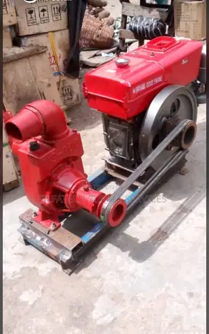 Original Lister Diesel Generator