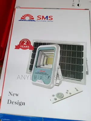 100w Flood Light