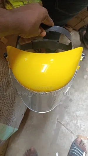 Face Shield