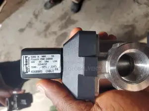 Stainless Burkert Valve
