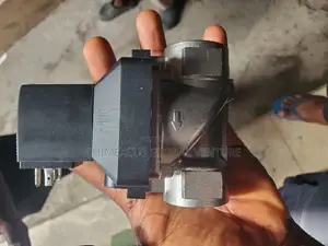 Stainless Burkert Valve