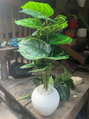 Artificial Plants and Pot Vase 30,000