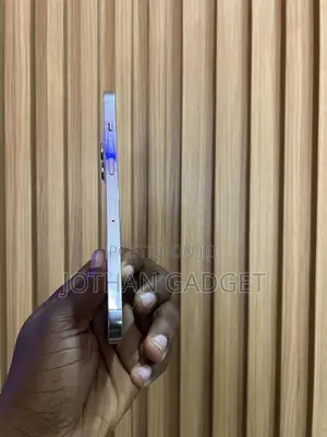 Apple iPhone 12 Pro Max 256 GB White
