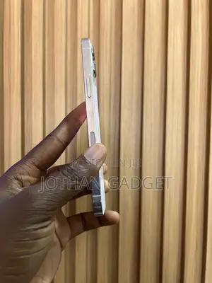 Apple iPhone 12 Pro Max 256 GB White