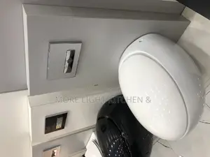 Egg Shape Concealed Wc
