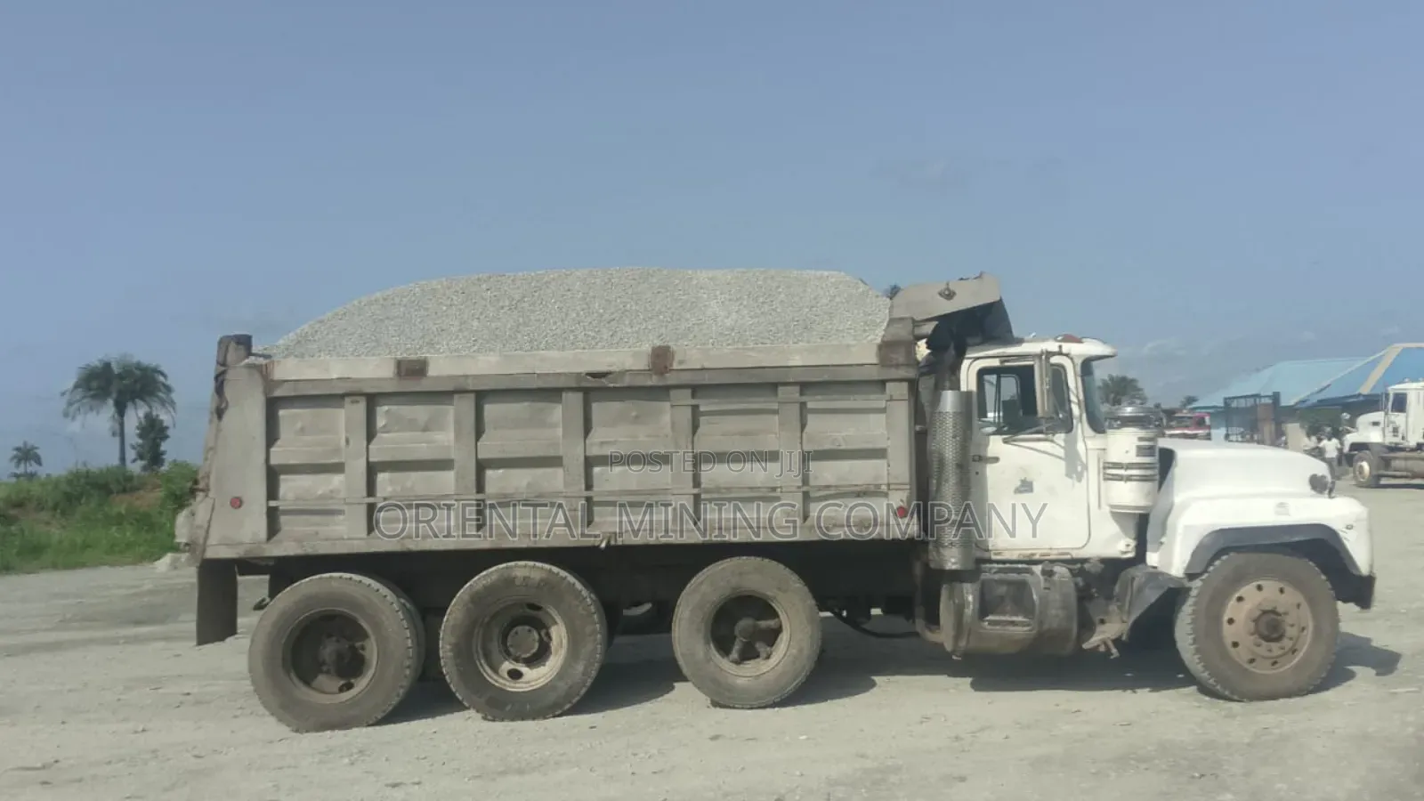China Oriental Mining Company Nig LTD