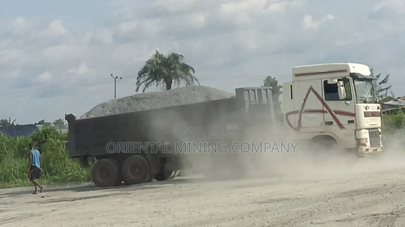 China Oriental Mining Company Nig LTD