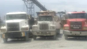 China Oriental Mining Company Nig LTD