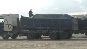 China Oriental Mining Company Nig LTD