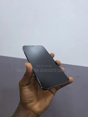 Photo - Apple iPhone 12 Pro Max 256 GB Gray