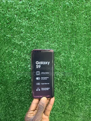 Samsung Galaxy S9 64 GB Pink