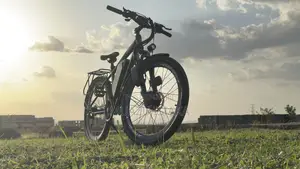 The All New Bug-X Labs E-Bike V350s