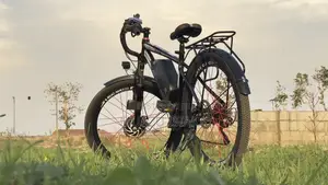 The All New Bug-X Labs E-Bike V350s