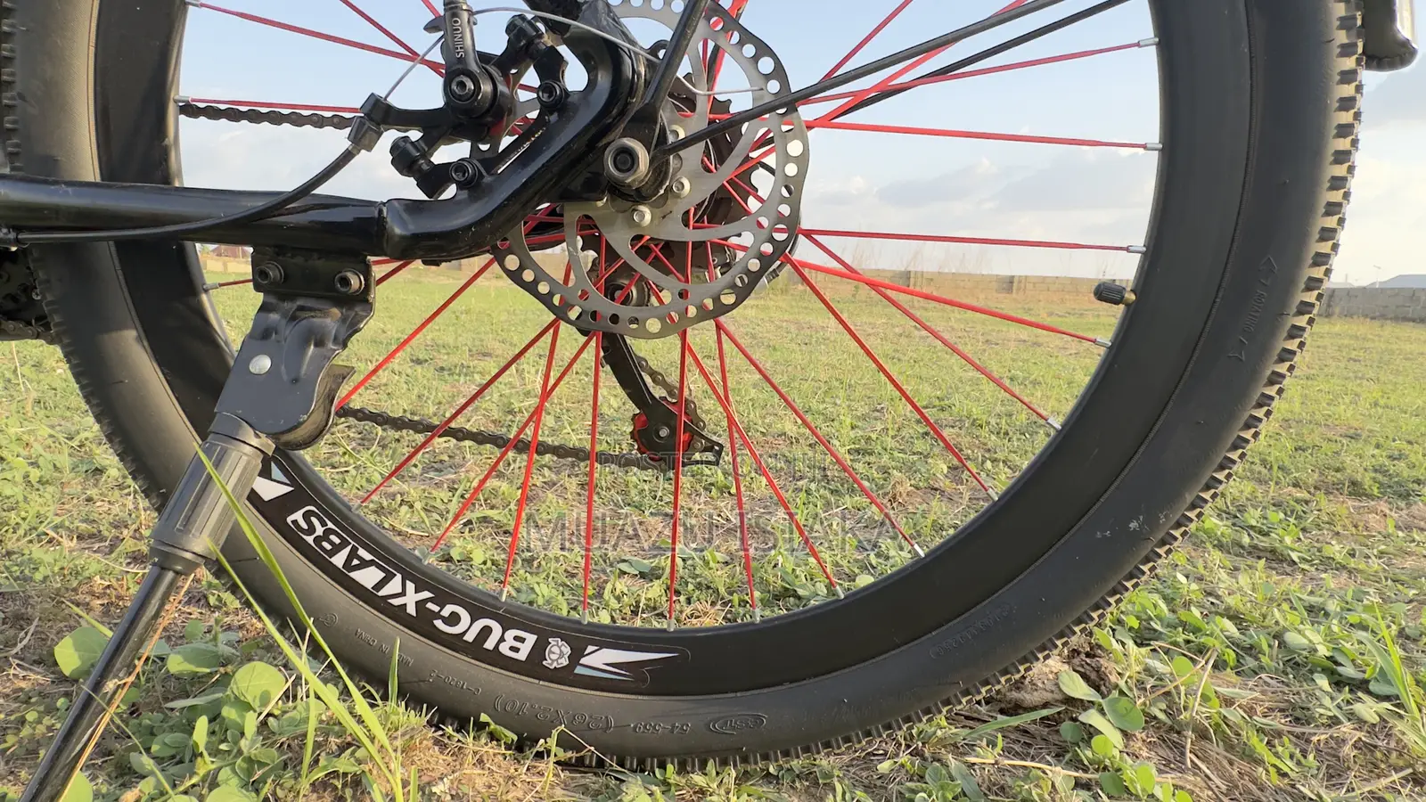 The All New Bug-X Labs E-Bike V350s
