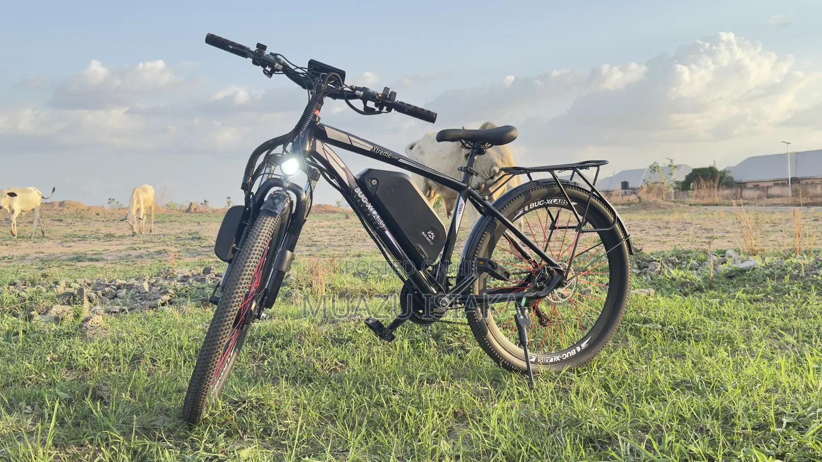 The All New Bug-X Labs E-Bike V350s