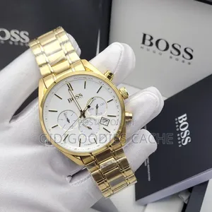 Hugo Boss Watches