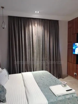 Top Luxury Curtains