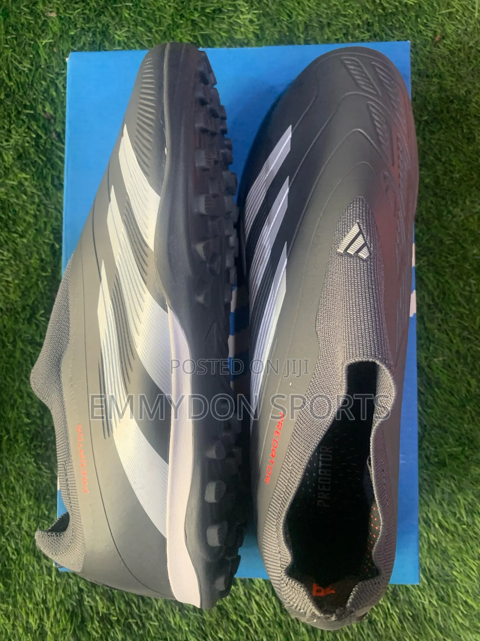 Training Boot