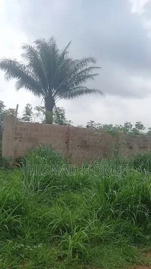 Photo - 2 Acres of for Sale in Simawa – 5 Mins From Treasure Park