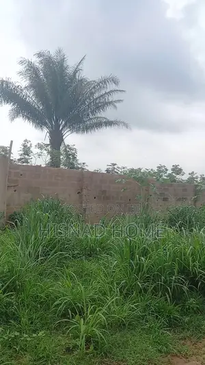 Photo - Affordable 1 Acre Fenced Land for Sale in Simawa –