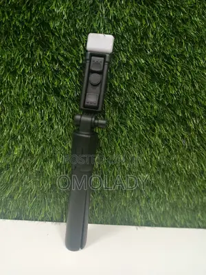 Selfie Stick R1s