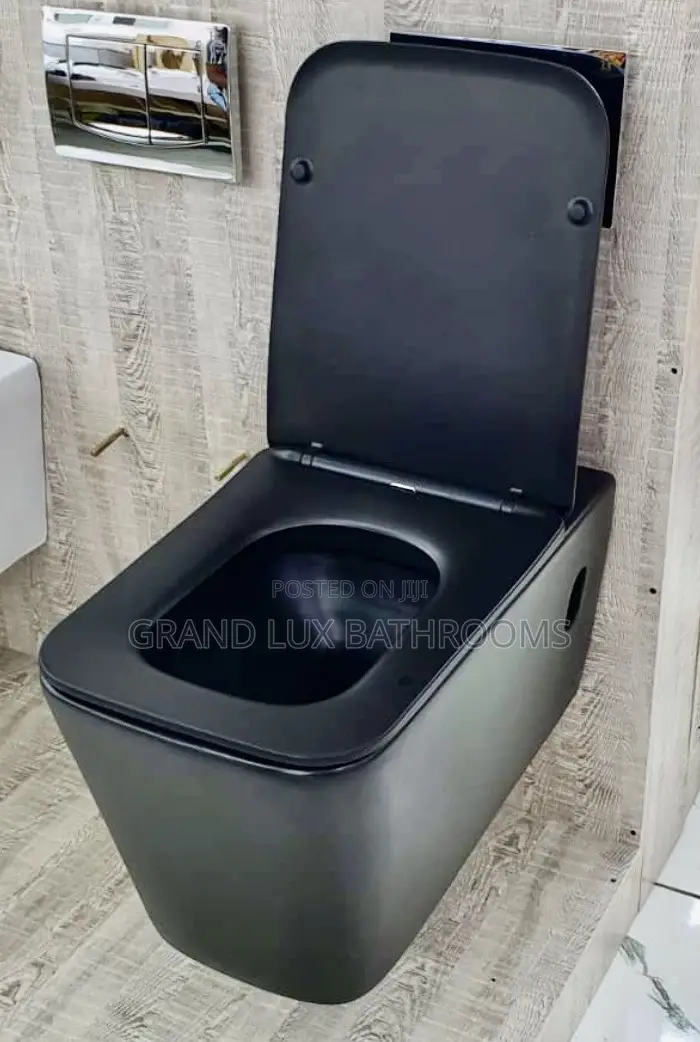 Luxury Black Wc