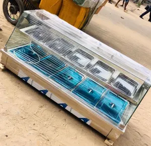 5 Plate Industrial Locally Fabricated Display Food Warmer