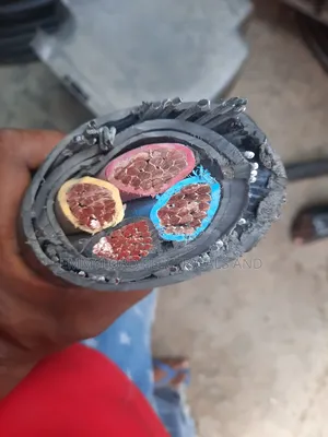 Photo - Armoured Cable