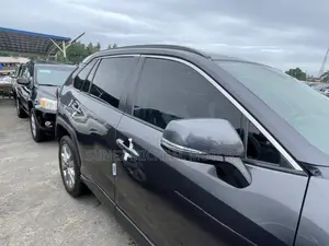 Toyota RAV4 2022 Gray