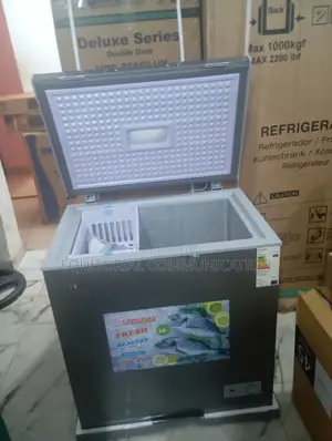 Snowsea Chest Freezer With High Durability Bd-208