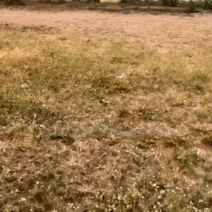 Land Available At Lekki