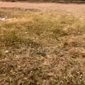Land Available At Lekki