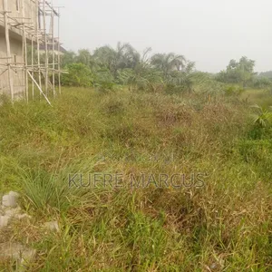A Standard Plot of Land 60ft by 120ft