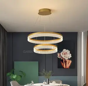 Circle Ring Modern Led Pendant Light Ceiling Mounted Light